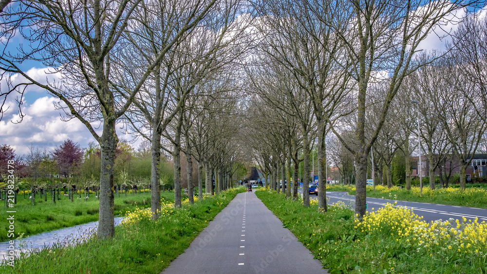 Walking Street With Natural View In Public Park