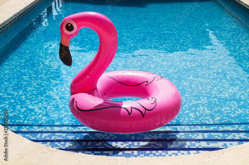 Flamingo rosa en la piscina al aire libre. Vista de frente y de cerca photo