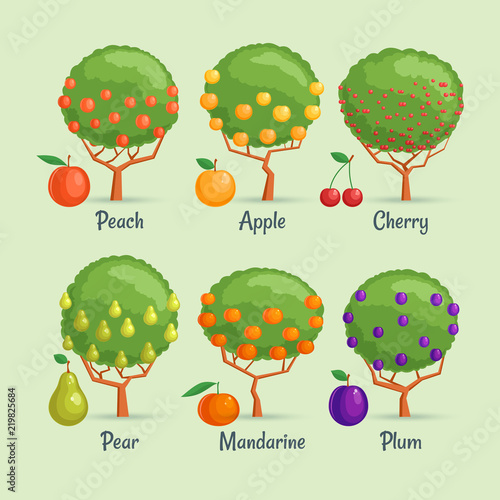 Fruit trees set. Cartoon images of garden berries. Vector illustration