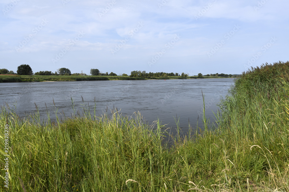 Überschwemmungsgebiet im Natura 2000 Gebiet "Dolna Odra" mit Blick auf Brandenburg / Nationalpark Unteres Odertal / Polen  - obrazy, fototapety, plakaty 