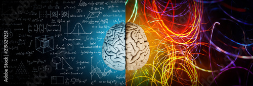 The concept of the human brain. The right creative hemisphere versus the left logical hemisphere. Education, science and medical abstract background. photo