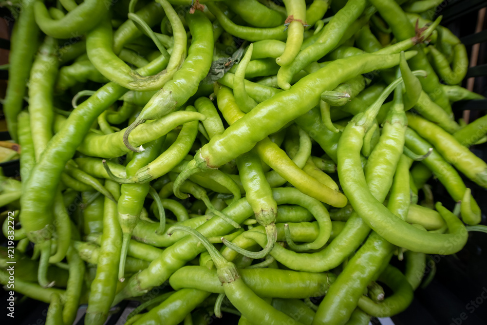 Pimientos verdes, guindillas o piparrak Pimientos verdes, guindillas o piparrak