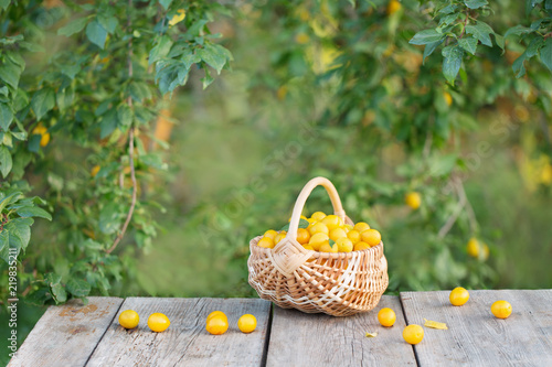 Fototapeta Naklejka Na Ścianę i Meble -  yellow plum in basket on wooden table outdoor