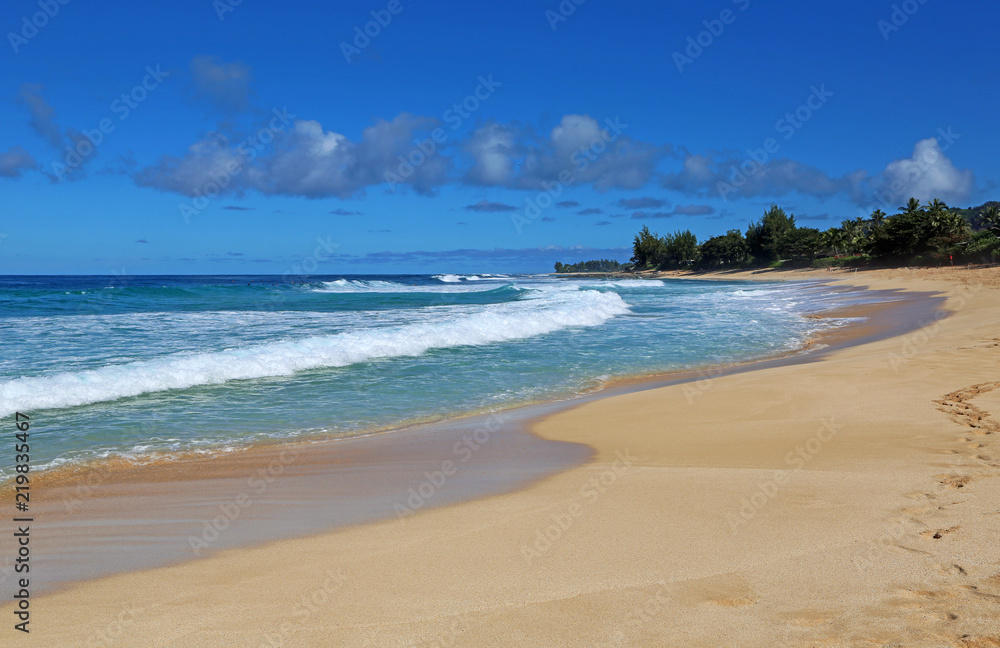 Waimea Bay beach - Oahu, Hawaii Waimea Bay beach - Oahu, Hawaii