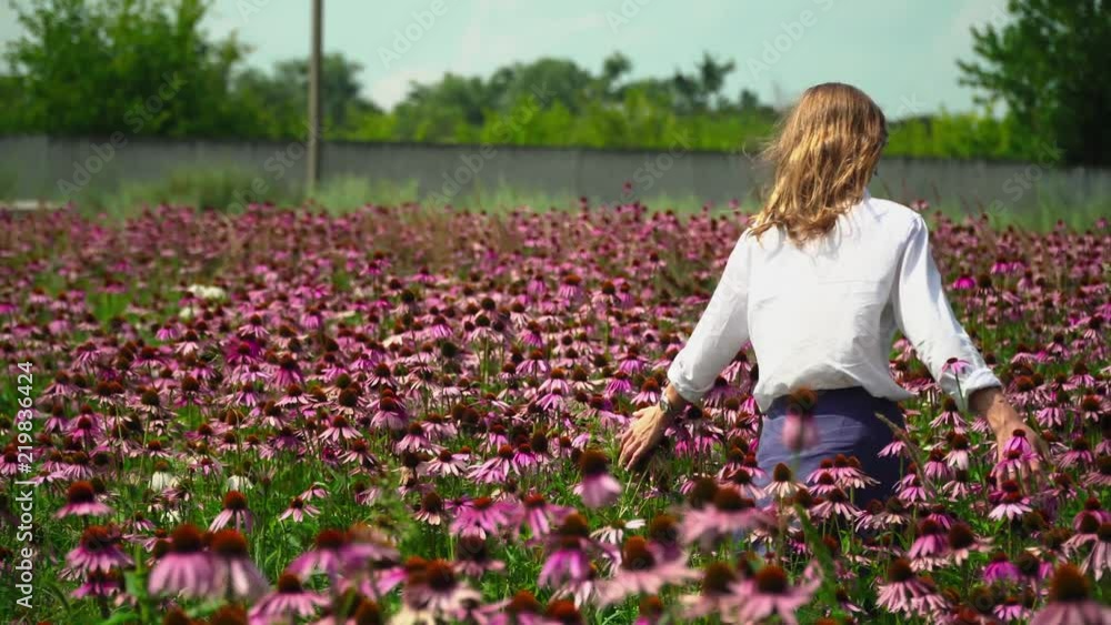 Beautiful girl is walking along a flower field Beautiful girl is walking along a flower field