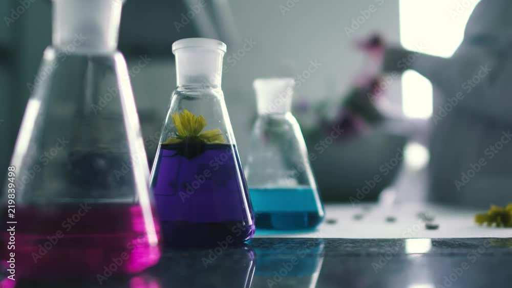 In the pharmaceutical laboratory In the pharmaceutical laboratory