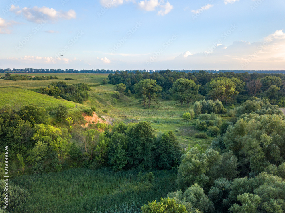Obraz premium Aerial view from the drone of a natural landscape with greenery, forest, field, ravine on a background of a cloudy sky.