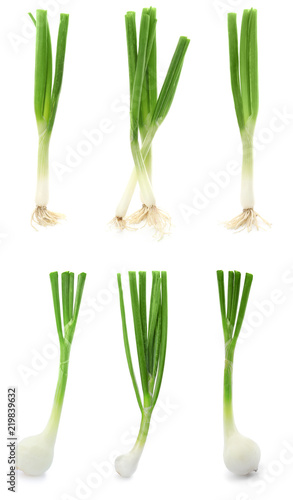 Set with fresh green onion on white background