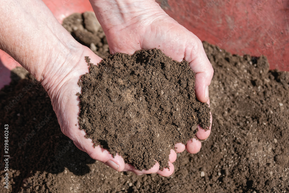 Two Handfuls of Fresh Topsoil Two Handfuls of Fresh Topsoil