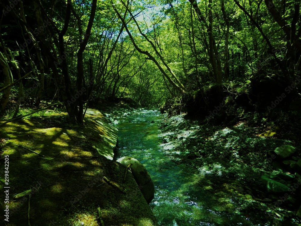 鍋割山山中の川