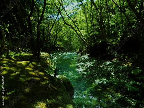 鍋割山山中の川 © haruzo