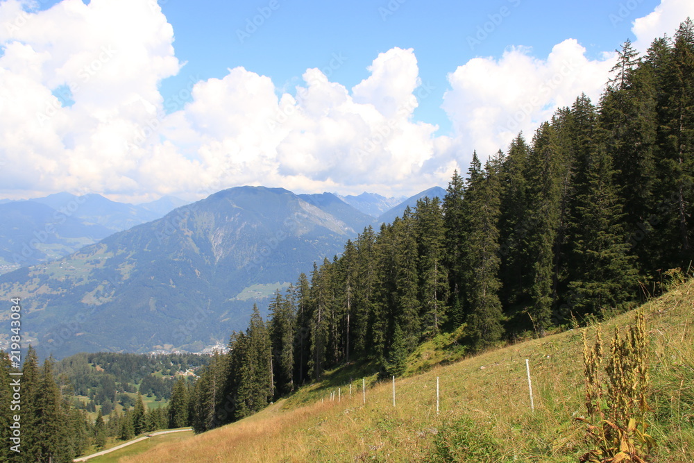 Wald un Berge Wald un Berge