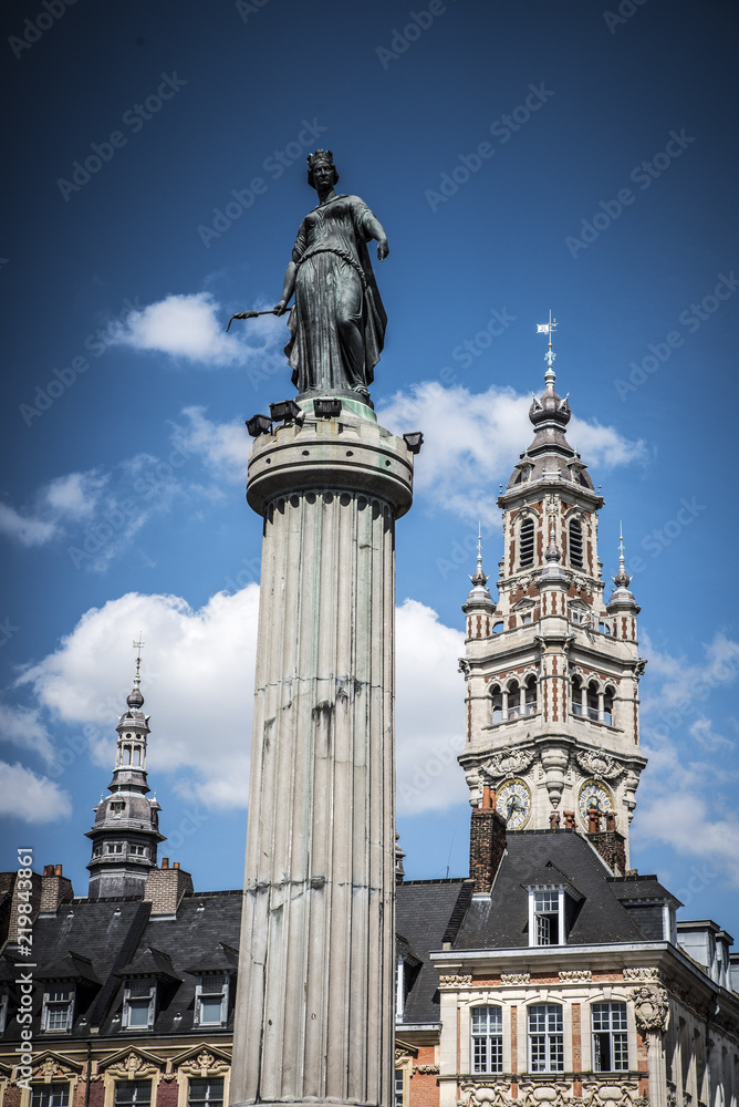 Fototapeta premium lille 2