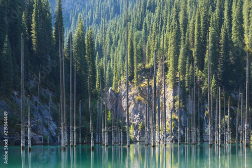 unique mountain lake of Kaindy in Kazakhstan with a sunken forest