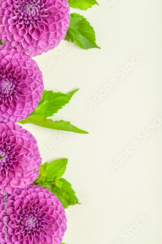 Fototapeta Naklejka Na Ścianę i Meble -  Dahlia ball-barbarry border frame - top view on violet fresh flowers with green leaves and buds.