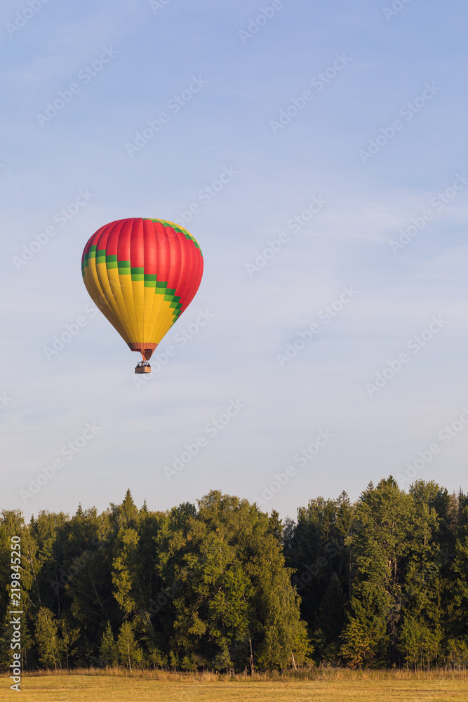 Colorful hot-air balloon flying over the forest