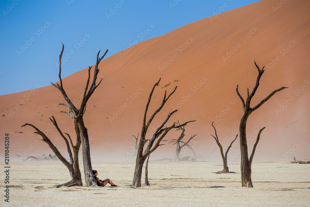 Dead Vlei Namibie désert sel dunes de sable Arbres morts Dead Vlei Namibie désert sel dunes de sable Arbres morts