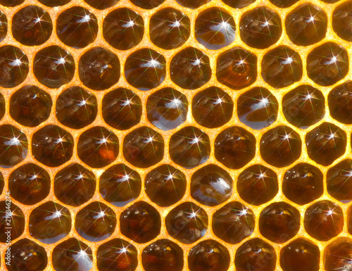 Natural background of honeycomb with honey and spectra