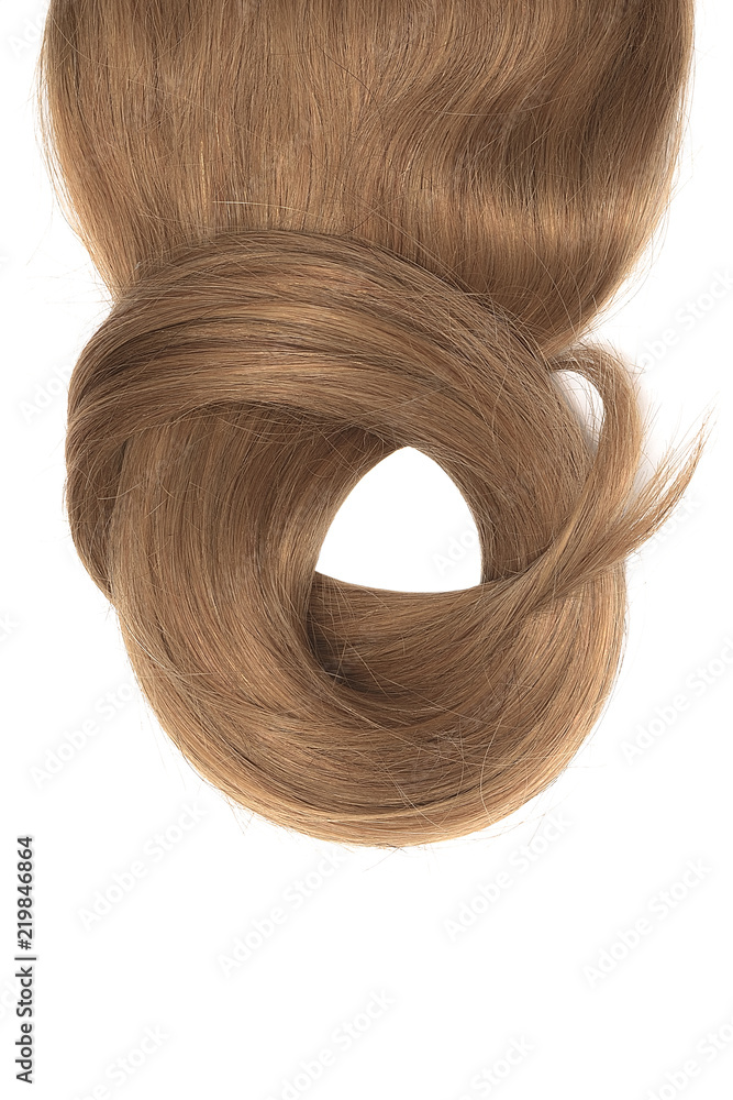 Brown hair isolated on white background. Long beautiful ponytail in shape of circle Brown hair isolated on white background. Long beautiful ponytail in shape of circle