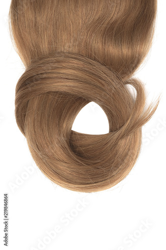 Brown hair isolated on white background. Long beautiful ponytail in shape of circle