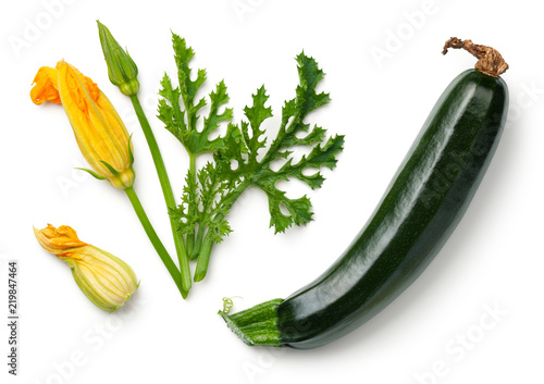 Green Zucchini with Leaf and Flower Isolated on White Background