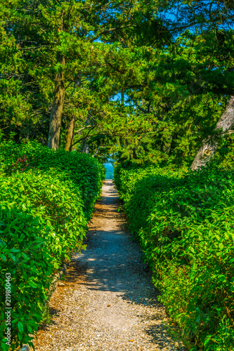 View of a garden inside of the Fort Saint Andre in Villenueve les Avignon, France photo