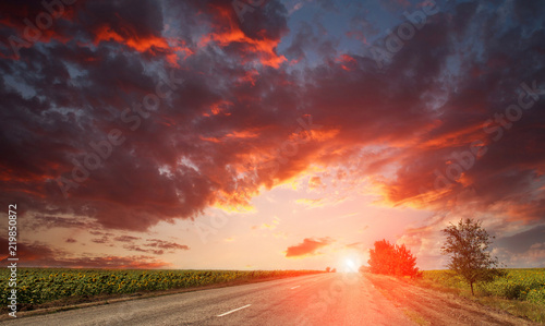 Country asphalt road leaving on dramatic bright sunset sky