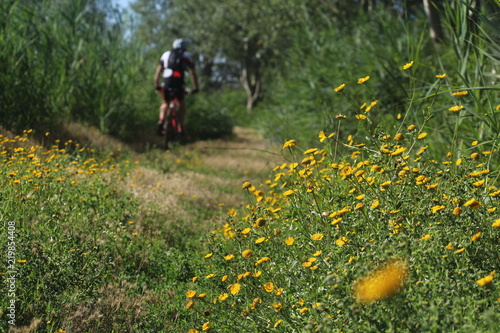 Ride bike in Tuscany, Italy
