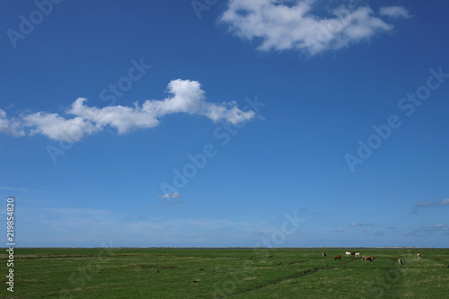 Deichhinterland in Ostfriesland und blauer Himmel - Stockfoto