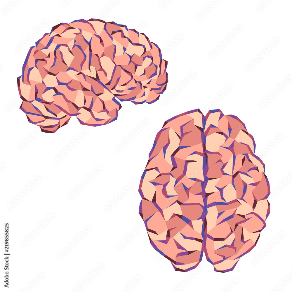 Brain color triangles Brain color triangles