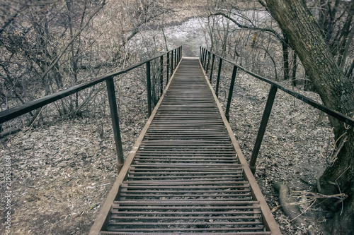 Fototapeta Naklejka Na Ścianę i Meble -  Long metal ladder, steps in the park with fallen brown leaves away. Late autumn. Concept of autumn, nostalgia, ways, paths