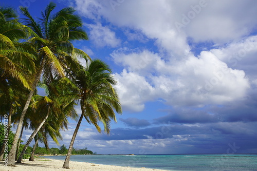 Fototapeta Naklejka Na Ścianę i Meble -  Some Palm trees at a beach in the south of Cuba: