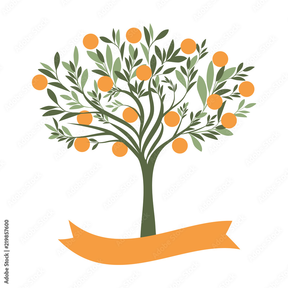 Fototapeta premium Ilustracja wektorowa drzewa pomarańczowego z pustą etykietą na białym tle
