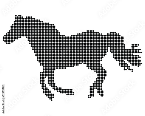 Point silhouette of horse on the white background