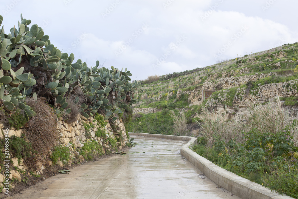 Narrow road in nature on Gozo, Malta