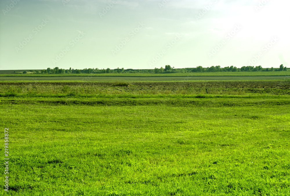Green field landscape with bright sky.