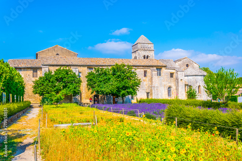 Lavender field in the monastery of Saint Paul de Mausole in France photo