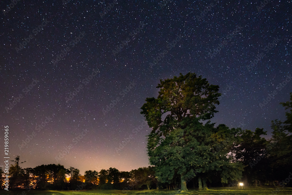 Milky Way Galaxy In Night Starry Sky Above Oak Tree In Summer Forest Milky Way Galaxy In Night Starry Sky Above Oak Tree In Summer Forest
