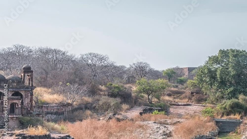 Temple ruins, Ranthambore Fort, Ranthambore National Park, Rajasthan, India