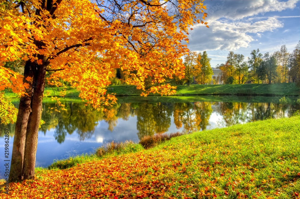 Golden fall (mellow autumn) in Pavlovsky park, Pavlovsk, Saint Petersburg, Russia