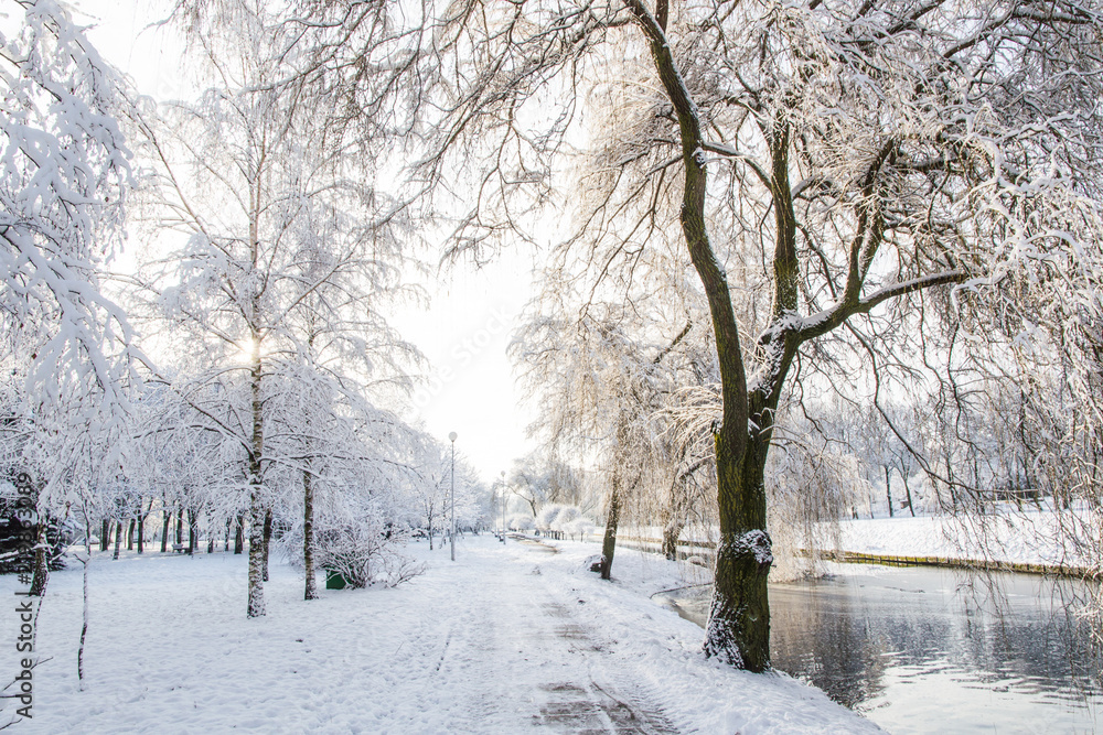 winter park, snow-covered walkway over the river, the trees and benches also covered with snow winter park, snow-covered walkway over the river, the trees and benches also covered with snow