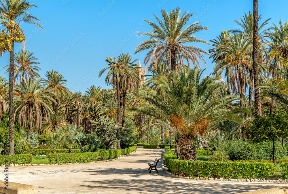 Villa Bonanno, the public garden with palms near Cathedral in center of Palermo, Sicily, Italy.