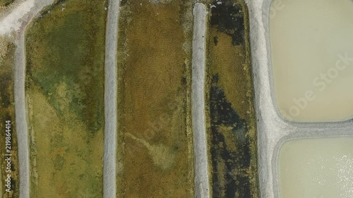 Marais Salants