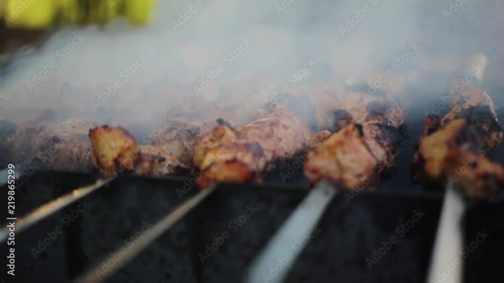 Close up of food grilling on barbecue. Shashlik grill over coals. char-grilled picnic steak beef charcoal flame healthy smoke meal, party summer grilling eating holiday preparation tasty chicken cook Close up of food grilling on barbecue. Shashlik grill over coals. char-grilled picnic steak beef charcoal flame healthy smoke meal, party summer grilling eating holiday preparation tasty chicken cook