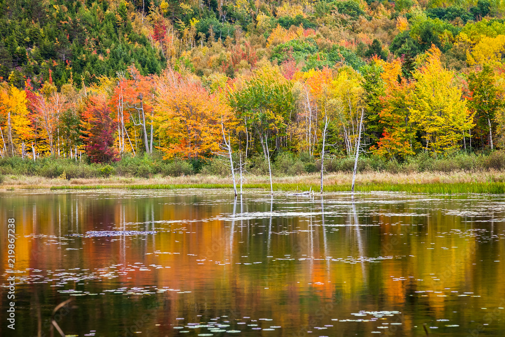 Autumn in Acadia National Park, Mount Desert Island, Maine, USA Photos