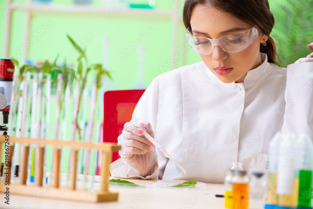 Beautiful female biotechnology scientist chemist working in lab Beautiful female biotechnology scientist chemist working in lab
