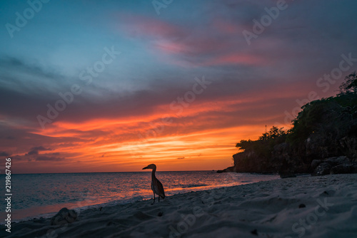   Sunset on a west coast sail  Curacao Views in the caribbean © Gail Johnson