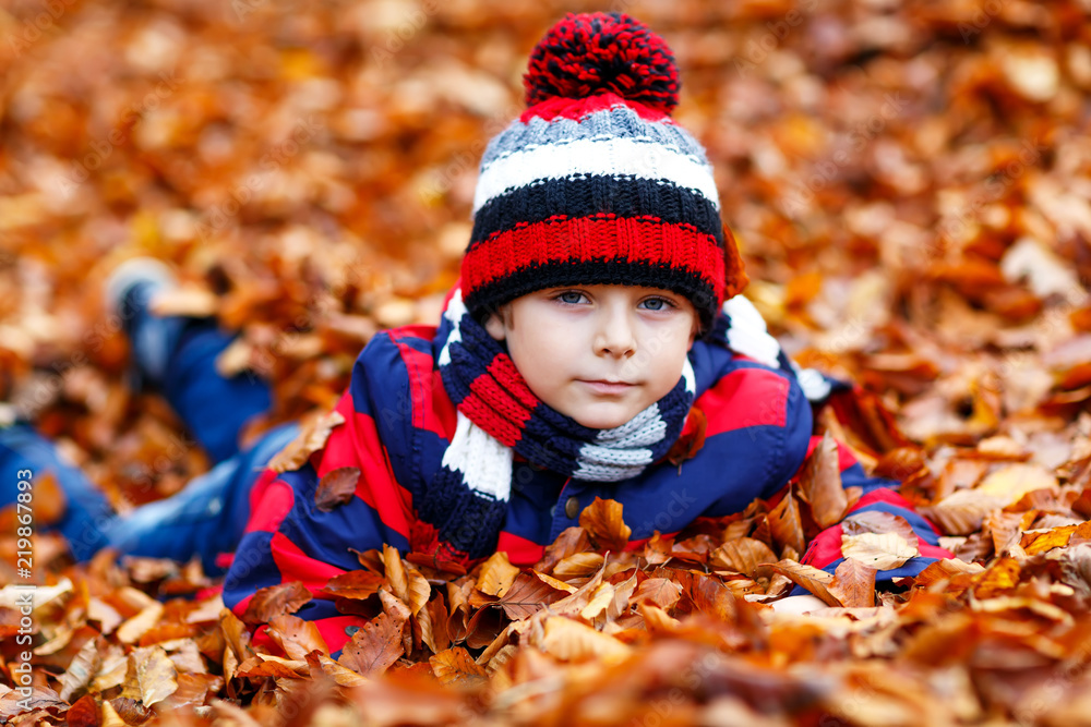 Portrait of happy cute little kid boy with autumn leaves background in colorful clothing. Funny child having fun in fall forest or park on cold day. With hat and scarf. Portrait of happy cute little kid boy with autumn leaves background in colorful clothing. Funny child having fun in fall forest or park on cold day. With hat and scarf.