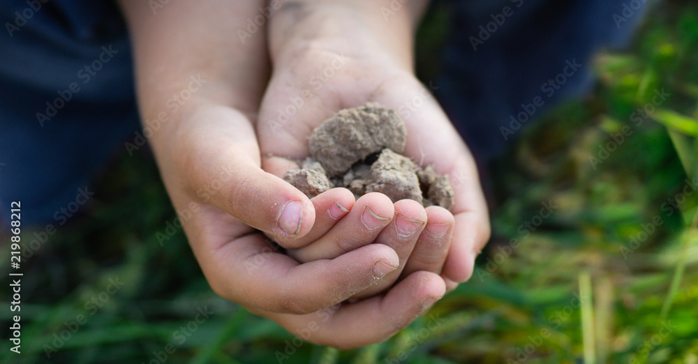 Soil in hand kid, palm, cultivated dirt, earth, ground, Organic gardening, agriculture. Nature closeup. Environmental texture