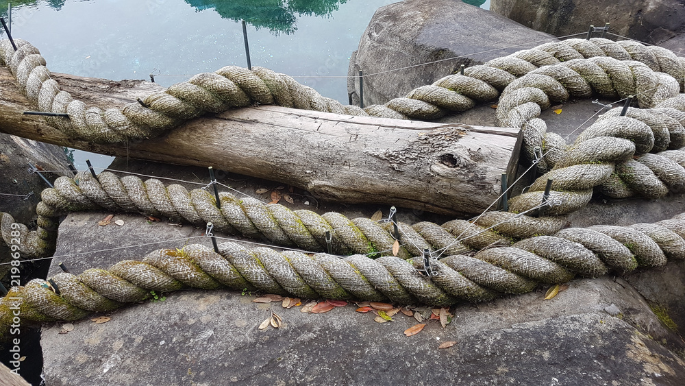Giant thick rope on a stone slab with water background with tree  reflections Stock Photo
